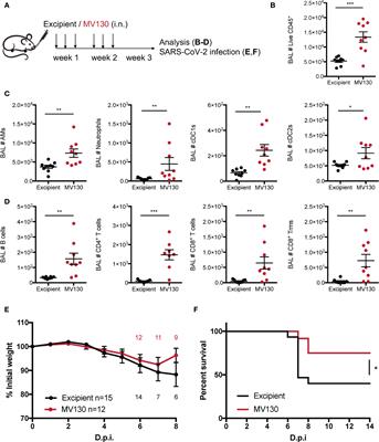 The Bacterial Mucosal Immunotherapy MV130 Protects Against SARS-CoV-2 Infection and Improves COVID-19 Vaccines Immunogenicity